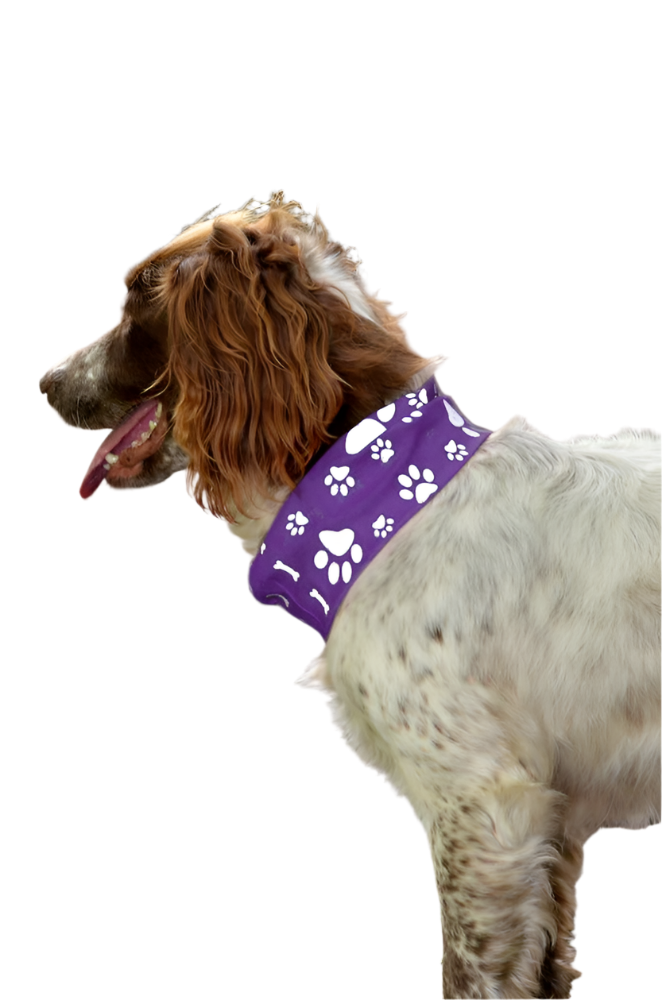 Reflective Purple Dog Snood Scarf/Bandana