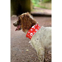 Hi vis dog bandana sale